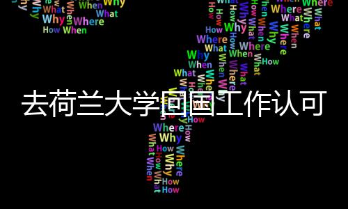 学回可度作认去荷兰大国工高吗