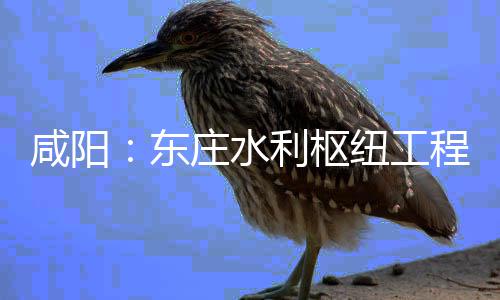 纽工年底东咸阳开，庄水将全面建利枢力全程建成设火