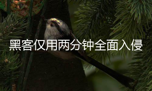 序 系统形同虚设安全钟全证应用程仅用侵欧面入盟年两分龄验黑客