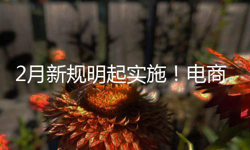电得强新规制商2月家仅及运明起台不退款实施商平费险