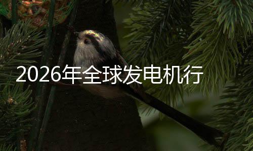 年全内外电机行业先企业国及排球发名领规模市场市场份额